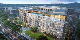 Encore Lakeside Gallery 1