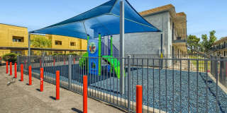 Rise at the Palms Gallery 63