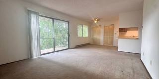 Olympic Vue Apartments Gallery 8