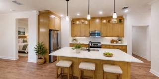 Single Family Home- The Houston Gallery 1