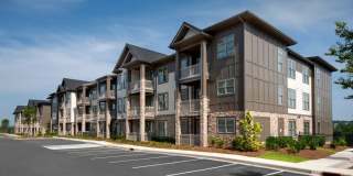 Timberline View Gallery 5