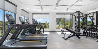 Caro Tuscan Village Gallery 6