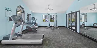 Verde Verde Gallery 17