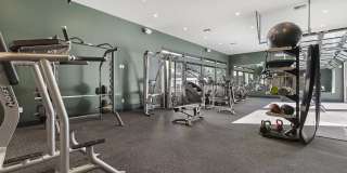 Meadowscape Gallery 15