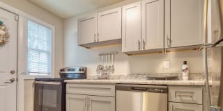 Bondale Apartments Gallery 7