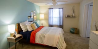 TGM Bermuda Island Gallery 7