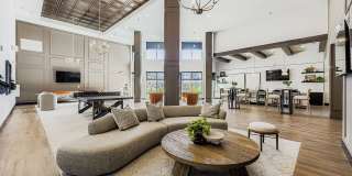 Citizen on Constitution Gallery 1