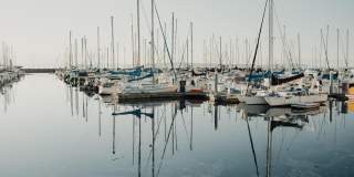 Leva on Market Gallery 37