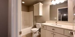 3933 Williams Cove Gallery 16