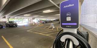 Red Oak at 83 Hanover Street Gallery 35