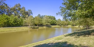 The Reserve at Maryville Apartments Gallery 6