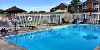 Prairie Tree Gallery 9