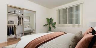 Vineyards Gallery 194