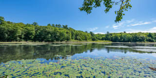 Liberty Park Gallery 15