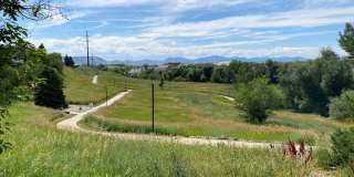 South Majestic Gallery 9