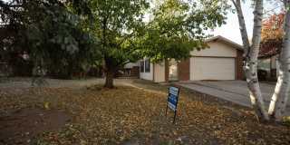 Spacious 4 Bedroom in Mid-Town Fort Collins Gallery 33