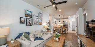 Arcadia 331 Gallery 26