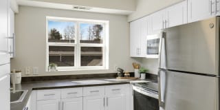 Sofi Danvers Gallery 4