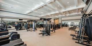 Northhaven Gallery 12