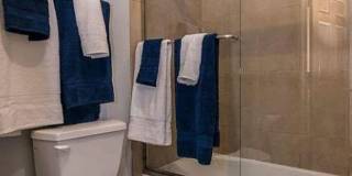 Studio Condo in Heart of Old Town Fort Collins! Gallery 15