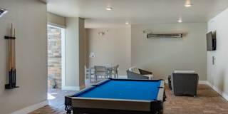 Red Knot at Edinburgh Gallery 34