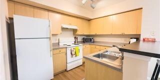 8754 River Homes Ln Gallery 5