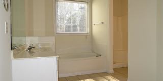 8842 Fairview Bluff Gallery 10