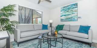 Solara Apartments Gallery 10