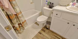 46 Brightleaf Circle Gallery 13