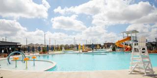 Eden at Sunterra Gallery 37