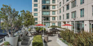 The Grand Gallery 102