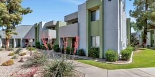 Lemon & Pear Tree Apartments Gallery 16