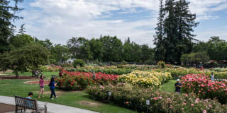 Pavona Apartments Pavona Apartments Gallery 32