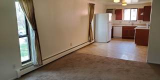 One Bedroom Apartment Available for Rent Near Old Town Longmont Gallery 4