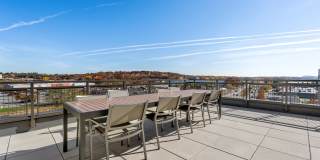 The Point at Woburn Gallery 13