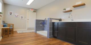 Mallard Landing Gallery 22