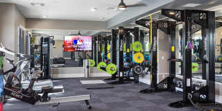 Alta Rise Gallery 15