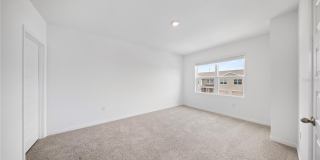 4348 BUTTERSCOTCH Circle Gallery 8