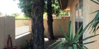 Beautiful 55+ Ahwatukee neighborhood spacious 2/br 2/ba home -  Rent Includes membership to Ahwatukee Recreation Center Gallery 32