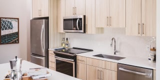 Mondrian on Lake Eola Gallery 19