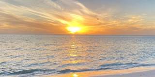 1575 Osprey Ave Gallery 51