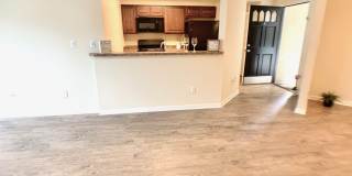 210 S Habana Ave Gallery 8