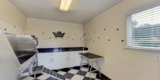 Hidden Oaks Gallery 25