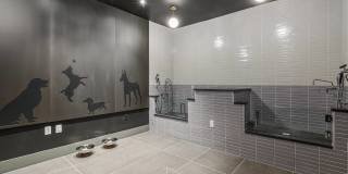 Deco Gallery 47