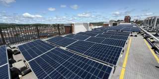 Red Oak at 409 Elm Street Gallery 13