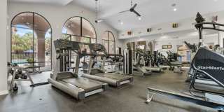 Melia Medical Center Gallery 23