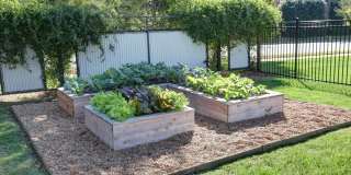 Vyne On Central Gallery 9