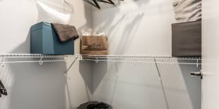 Gallerie Gallery 25