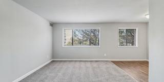 Swift at Riverdale Park Gallery 24