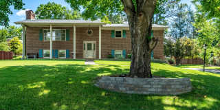 JC Rental Available. Prime location Gallery 1
